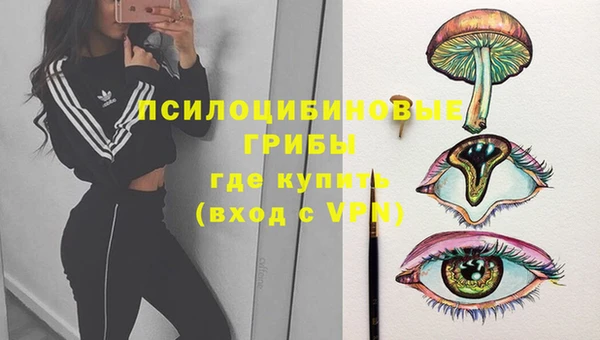 MESCALINE Богородицк